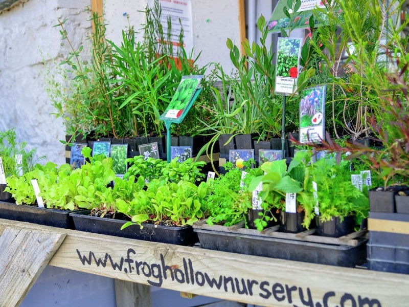 1 Saltwater River Rd, Premaydena TAS 7185