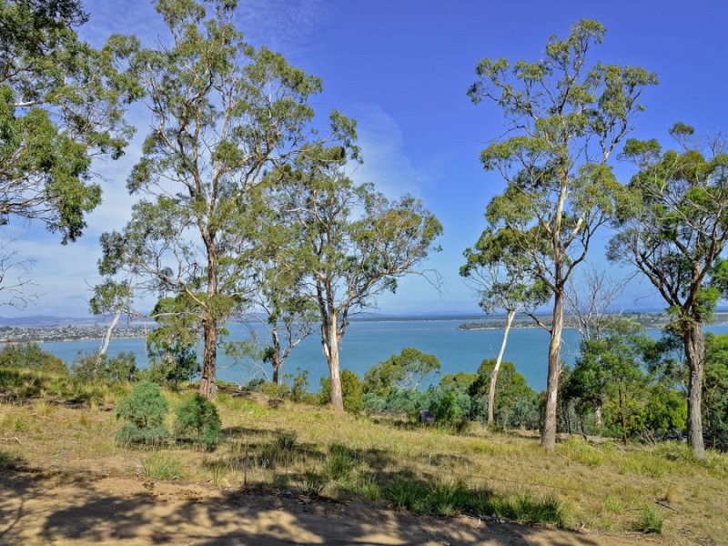 646 Shark Point Rd, Penna TAS 7171