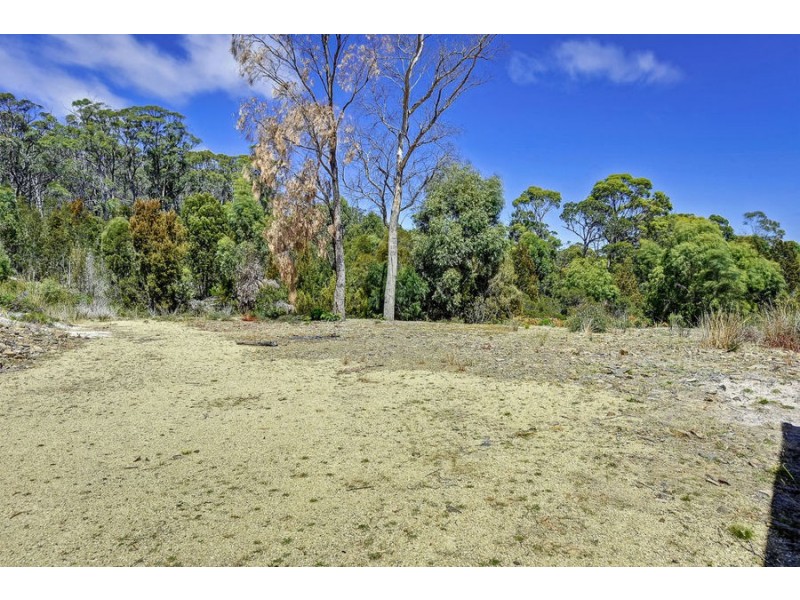 64 Lagoon Road, White Beach TAS 7184
