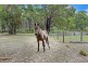 4268 Arthur Highway, Murdunna TAS 7178