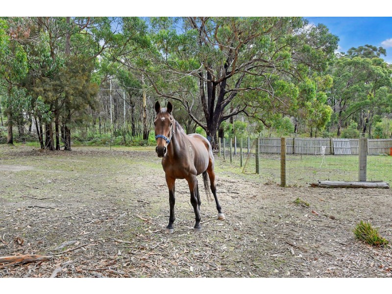 4268 Arthur Highway, Murdunna TAS 7178