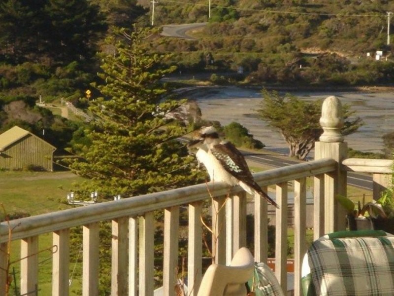 2 and 4 Hawks Lane, Eaglehawk Neck TAS 7179