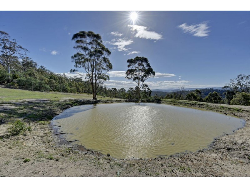 312 Heatherbell Road, Forcett TAS 7173