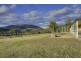 145 Gangells Road, Forcett TAS 7173