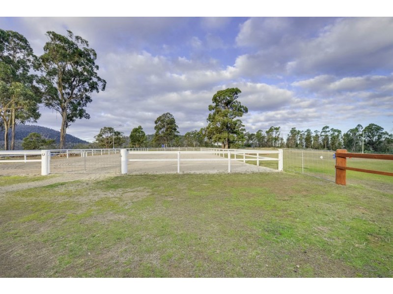 145 Gangells Road, Forcett TAS 7173