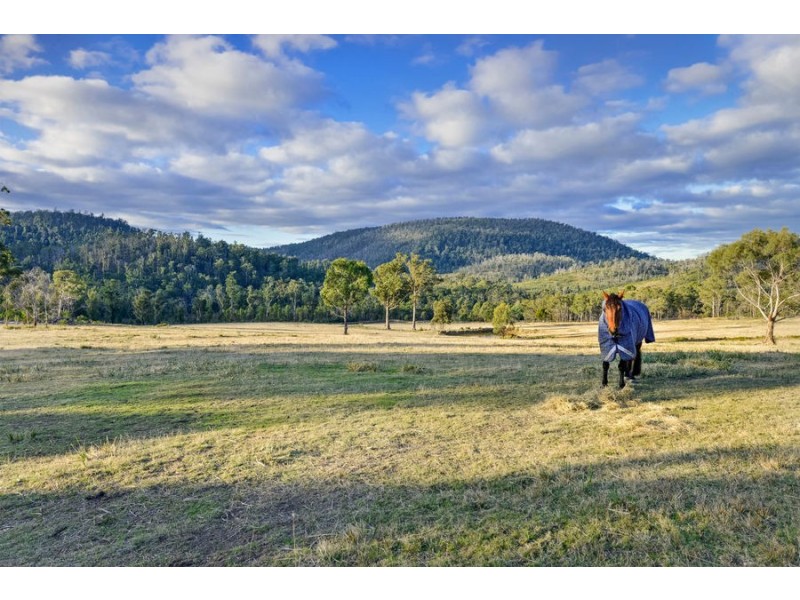 145 Gangells Road, Forcett TAS 7173
