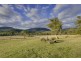 145 Gangells Road, Forcett TAS 7173