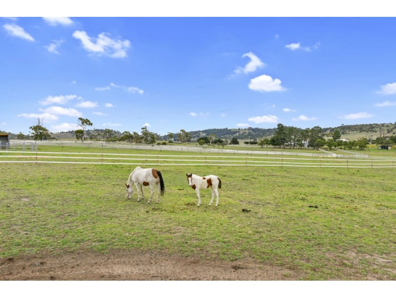329 Brinktop Road, Penna TAS 7171