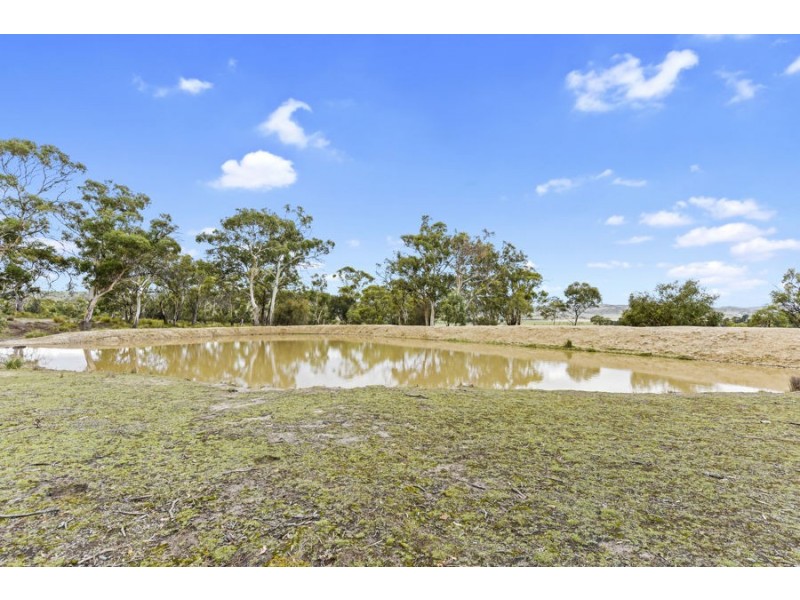 329 Brinktop Road, Penna TAS 7171