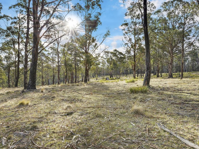 Lot 1, 145 Gangells Road, Forcett TAS 7173