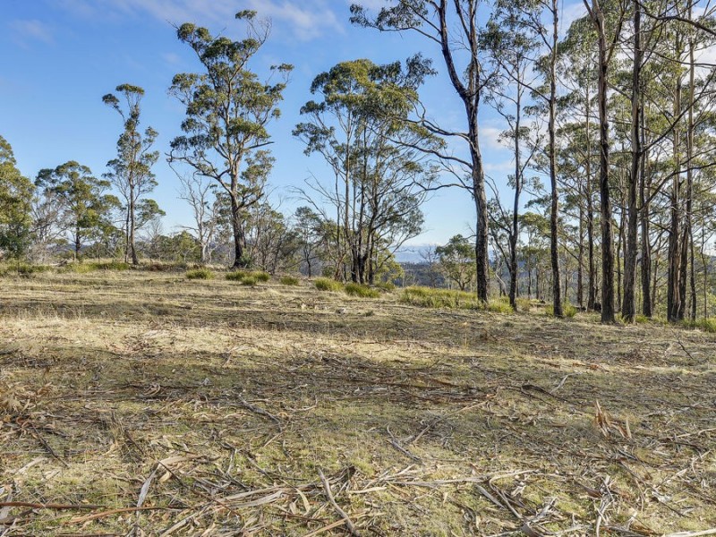 Lot 1, 145 Gangells Road, Forcett TAS 7173