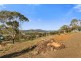 23 Jeannie Drive, Sorell TAS 7172