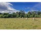 Lot 2 Robinson’s Road, Highcroft TAS 7183