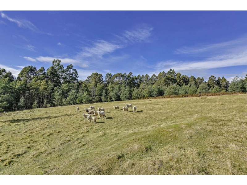 Lot 2 Robinson’s Road, Highcroft TAS 7183