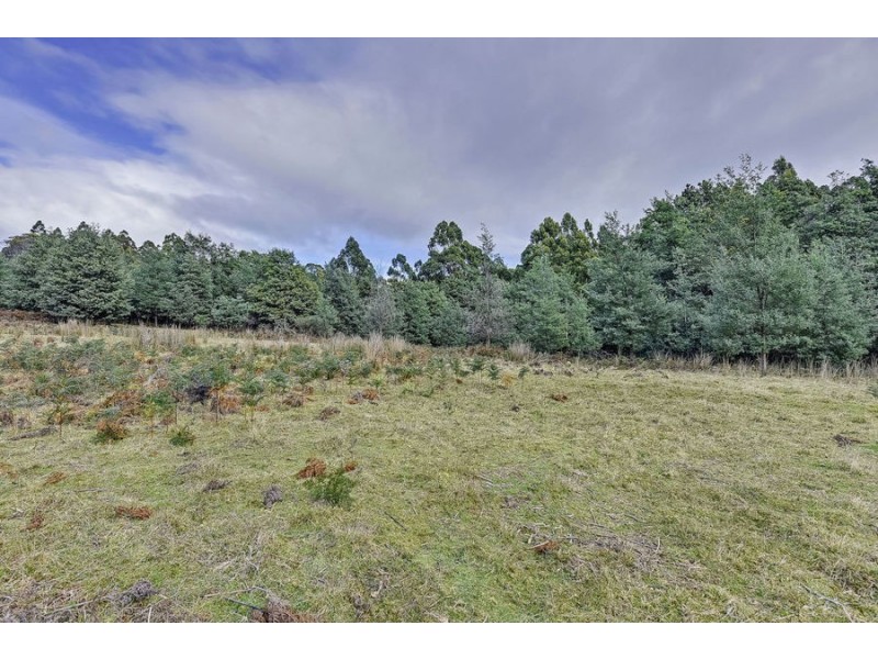 Lot 2 Robinson’s Road, Highcroft TAS 7183