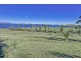 Lot 4 Fulham Road, Dunalley TAS 7177