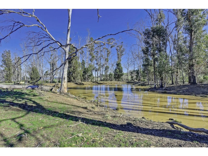 Lot 4 Fulham Road, Dunalley TAS 7177