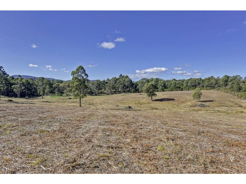 Lot 1 North Street, Port Arthur TAS 7182