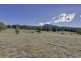 Lot 1 North Street, Port Arthur TAS 7182
