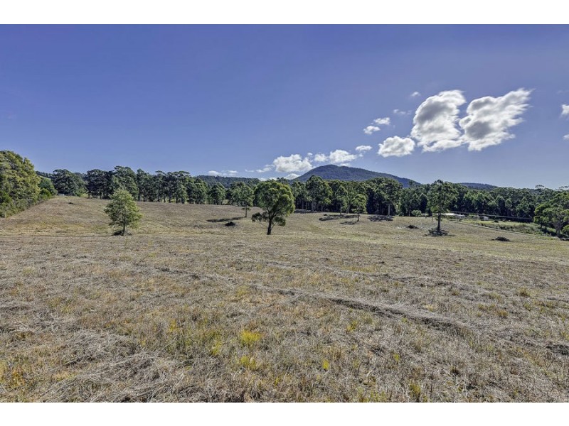 Lot 1 North Street, Port Arthur TAS 7182