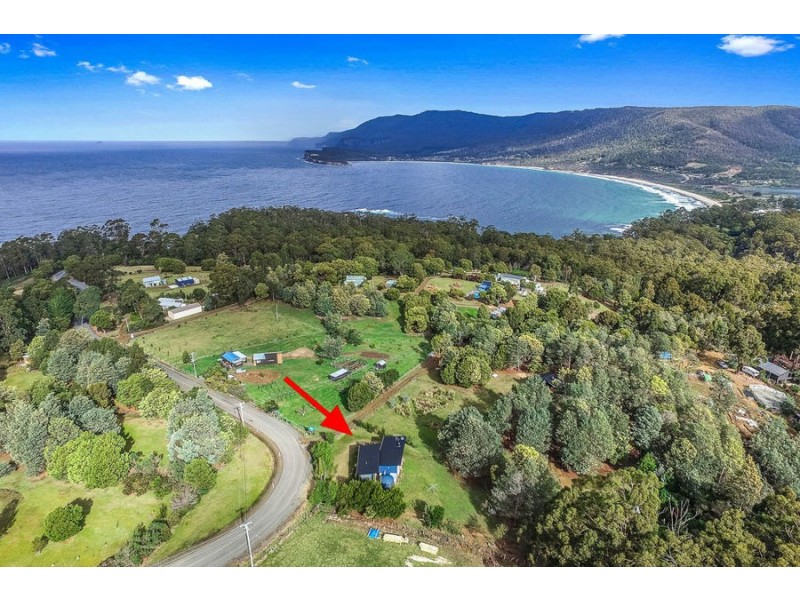 165 Pirates Bay Drive, Eaglehawk Neck TAS 7179