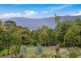 165 Pirates Bay Drive, Eaglehawk Neck TAS 7179