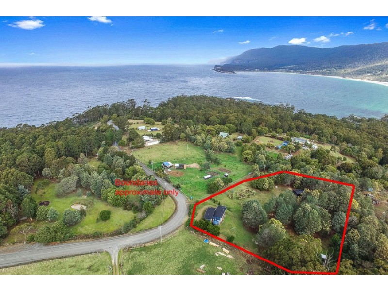 165 Pirates Bay Drive, Eaglehawk Neck TAS 7179