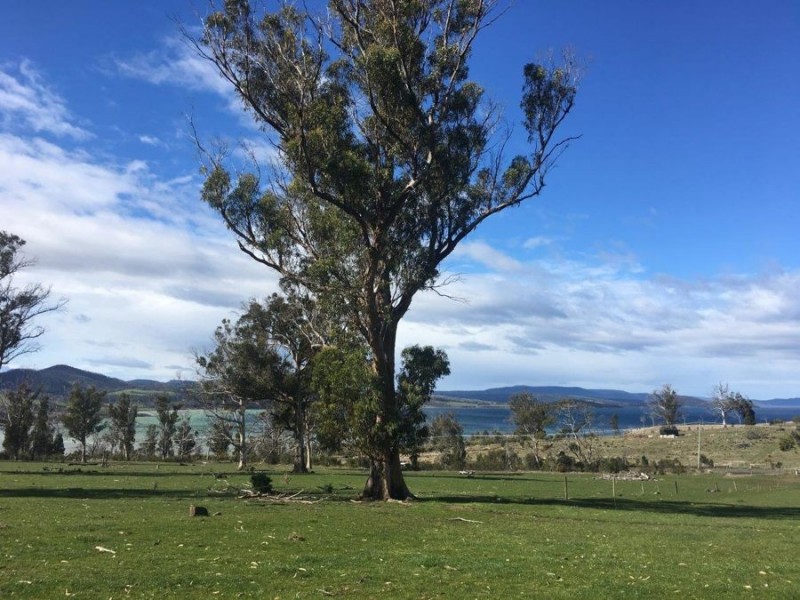 Lot 2 Fulham Road, Dunalley TAS 7177