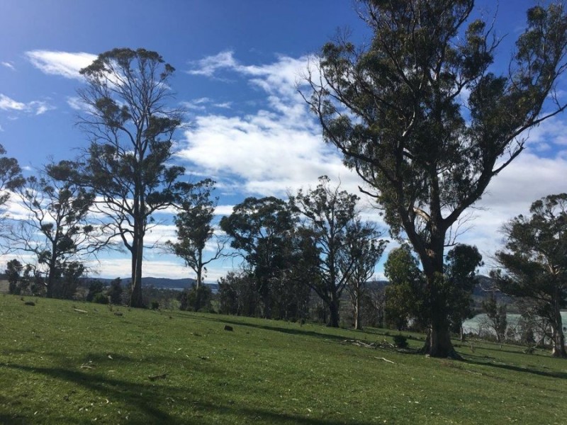 Lot 2 Fulham Road, Dunalley TAS 7177