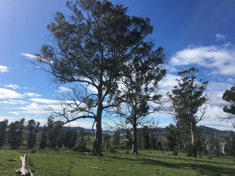 Lot 2 Fulham Road, Dunalley TAS 7177