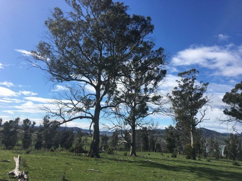 Lot 2 Fulham Road, Dunalley TAS 7177