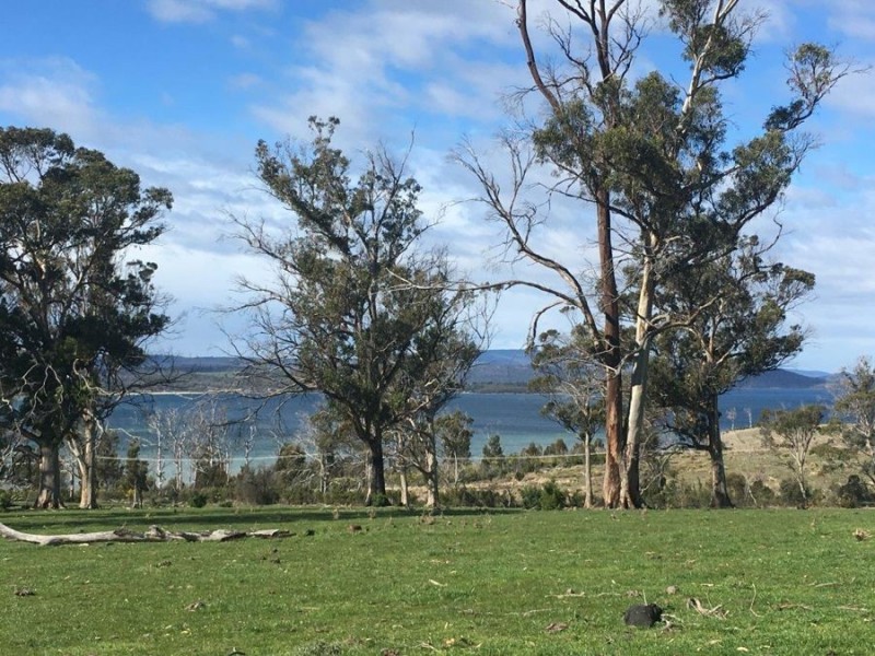 Lot 2 Fulham Road, Dunalley TAS 7177