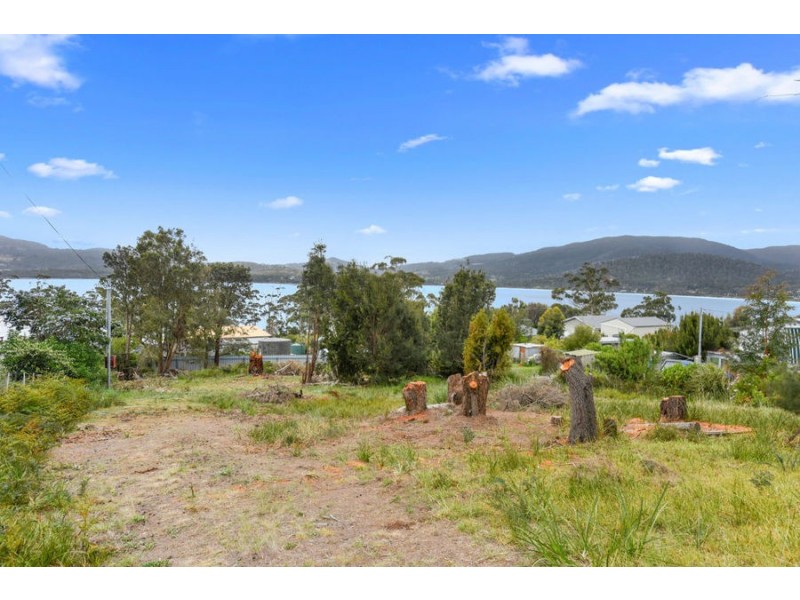 22 Free Street, White Beach TAS 7184