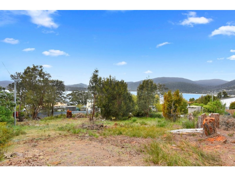 22 Free Street, White Beach TAS 7184