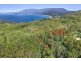 Lot 17 /311 Pirates Bay Drive, Eaglehawk Neck TAS 7179