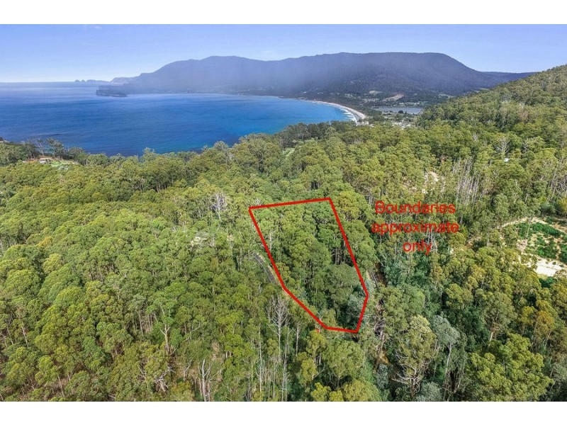 Lot 17 /311 Pirates Bay Drive, Eaglehawk Neck TAS 7179