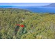 Lot 17 /311 Pirates Bay Drive, Eaglehawk Neck TAS 7179