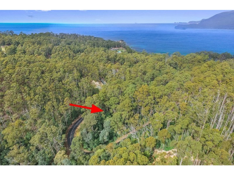 Lot 17 /311 Pirates Bay Drive, Eaglehawk Neck TAS 7179