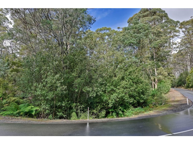 Lot 17 /311 Pirates Bay Drive, Eaglehawk Neck TAS 7179