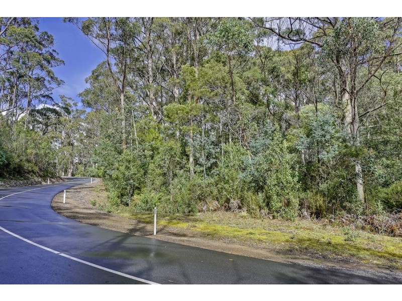 Lot 17 /311 Pirates Bay Drive, Eaglehawk Neck TAS 7179