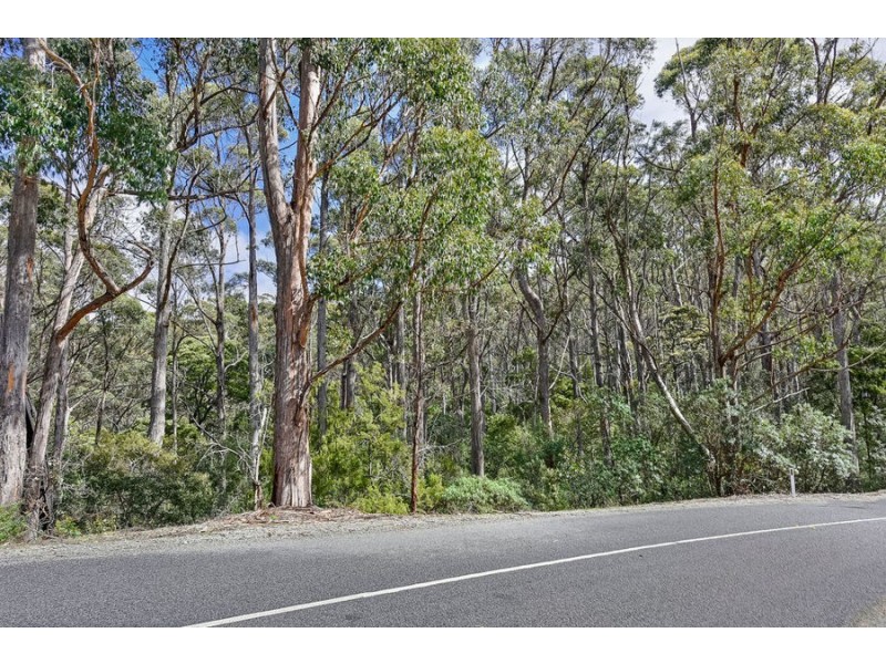 Lot 17 /311 Pirates Bay Drive, Eaglehawk Neck TAS 7179