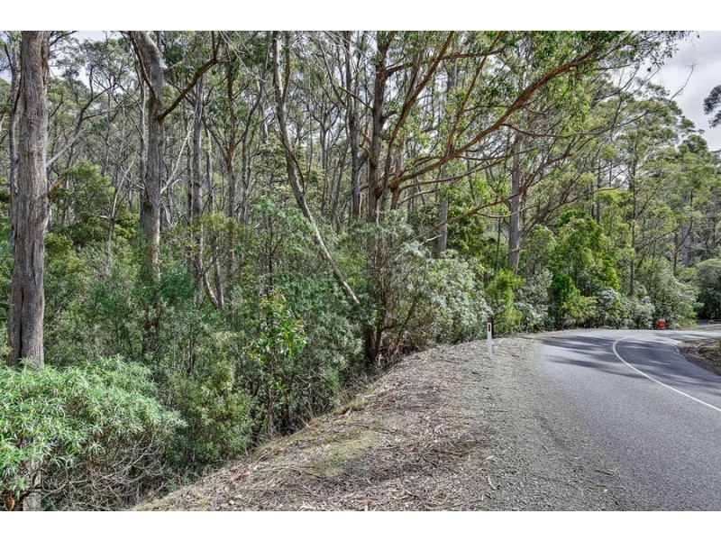 Lot 17 /311 Pirates Bay Drive, Eaglehawk Neck TAS 7179