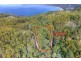 Lot 17 /311 Pirates Bay Drive, Eaglehawk Neck TAS 7179