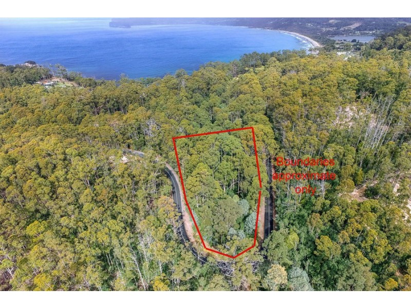 Lot 17 /311 Pirates Bay Drive, Eaglehawk Neck TAS 7179