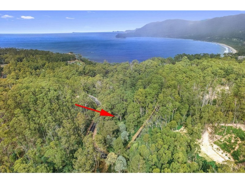 Lot 17 /311 Pirates Bay Drive, Eaglehawk Neck TAS 7179