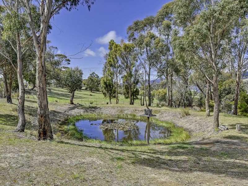 42 Bay Street, Dunalley TAS 7177