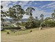 Lot 2 Free Street, White Beach TAS 7184