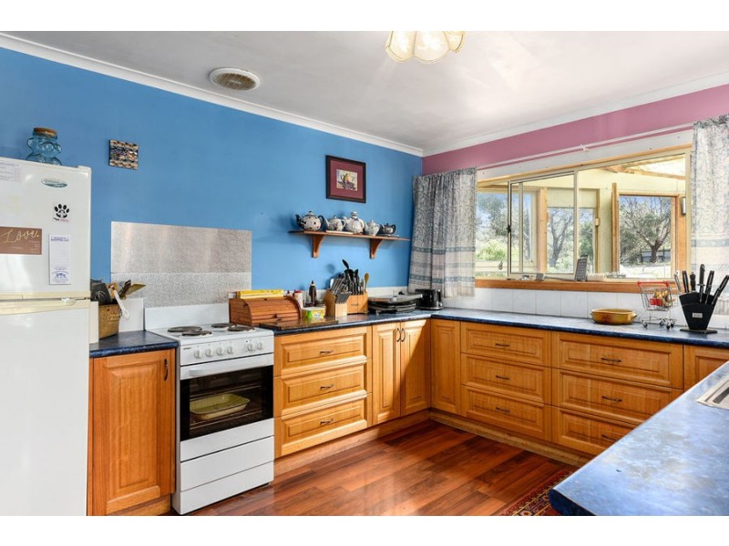24 Terry Street, Carlton TAS 7173