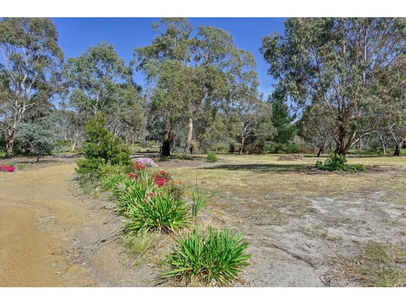 24 Terry Street, Carlton TAS 7173