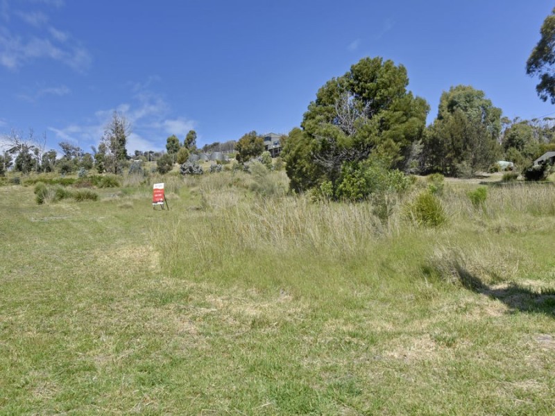 95 White Beach Road, White Beach TAS 7184